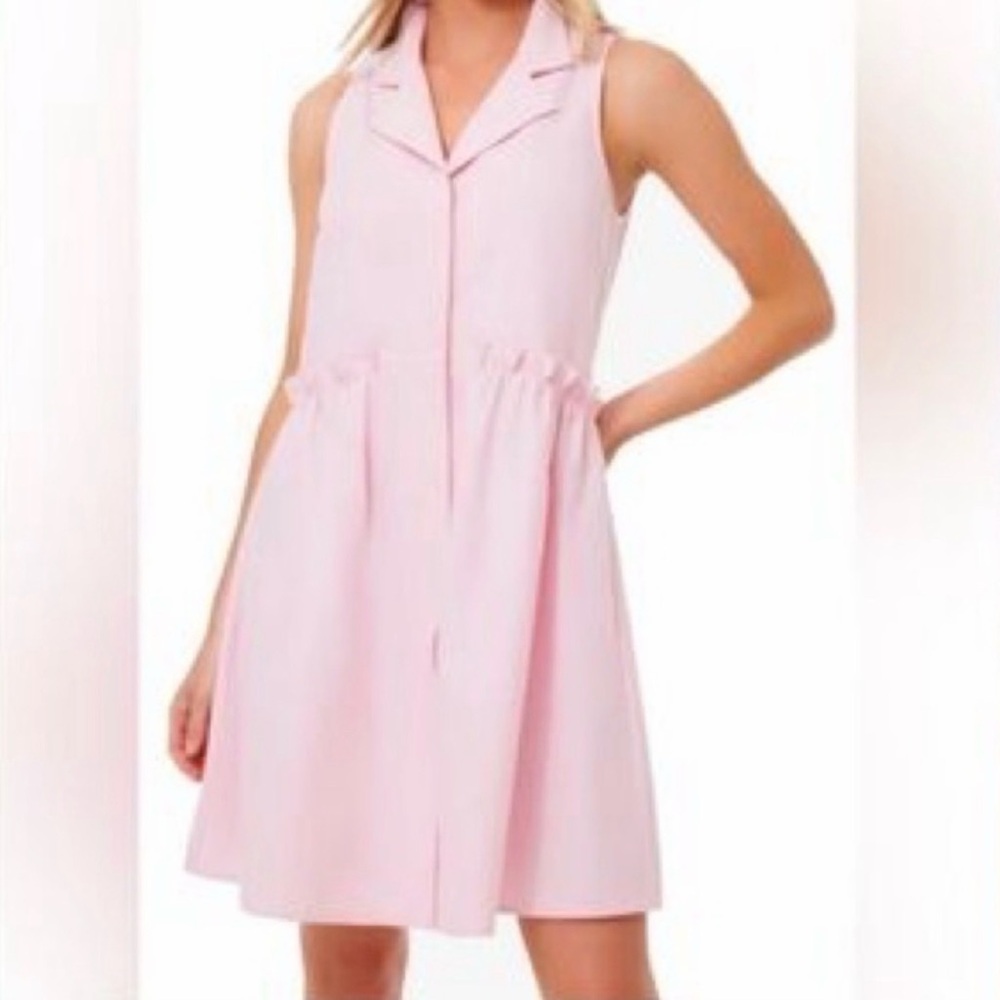 Tuckernuck Oxford Pink Sleeveless Collared Dress